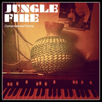 jungle fire.JPG